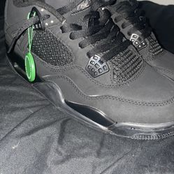 Black Cat 4s