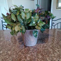 Decorative, Artificial, Plant, Plants 