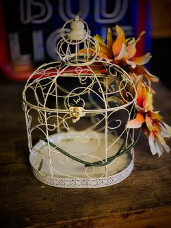 Rustic Bird Cage $25