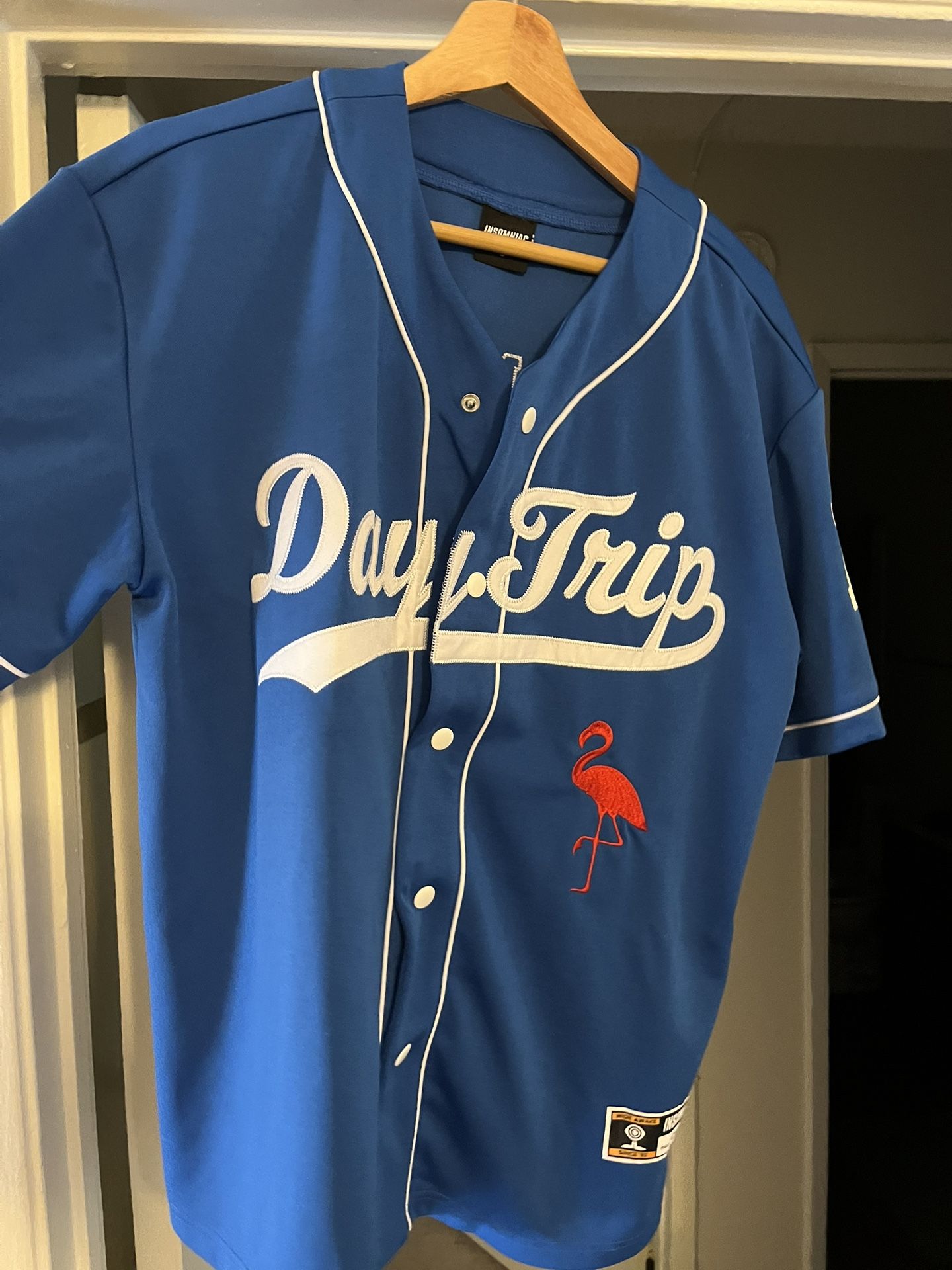 Insomniac Day Trip 2025 Baseball Jersey