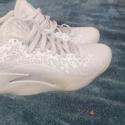 Jordan Zion 3
