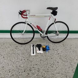 Trek 1000 Aluminum 14 Speed 