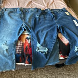 Levi Signature Jeans