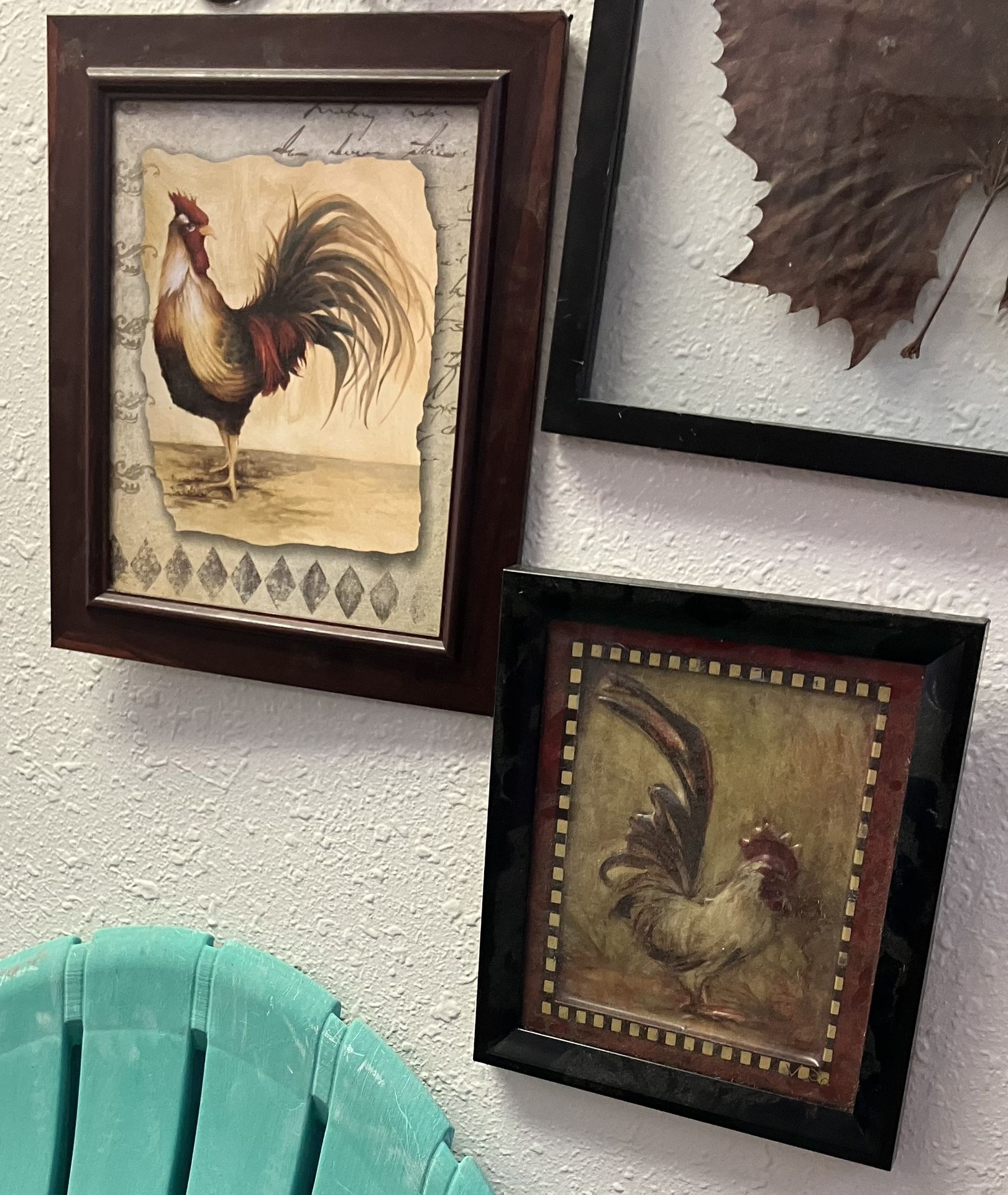 2 Rooster Pictures