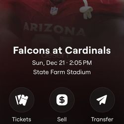 Falcons VS Cardinal's Club Seats 💺 