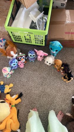 Collection of Beanie Boos