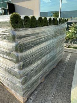 Baby turf On Sale 