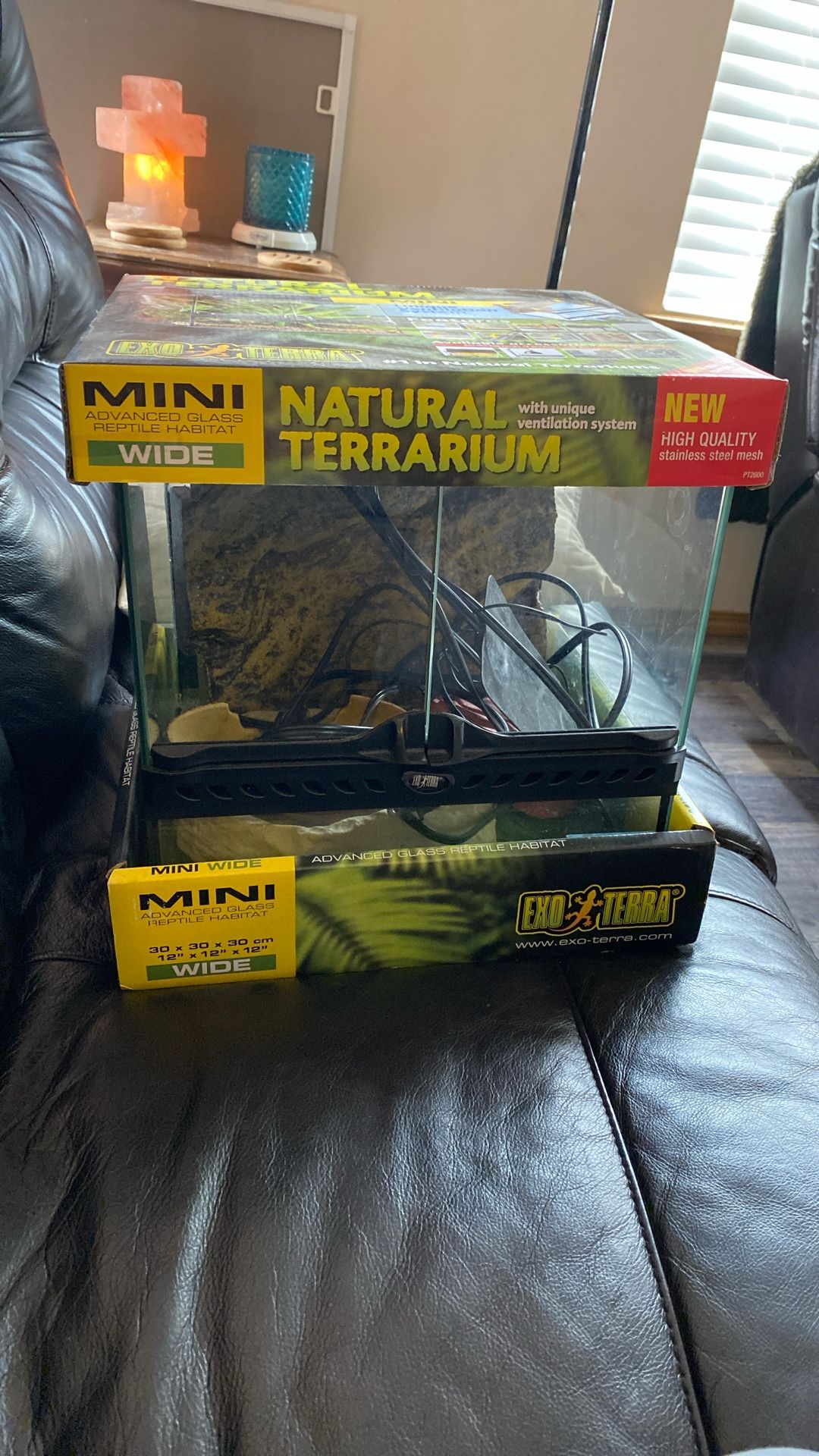 Eco Terra Terrarium