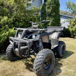 250cc Taotao Rhino Utility Atv 