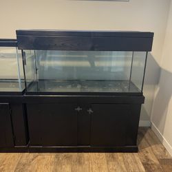 90g Aquarium w/ stand & canopy $300