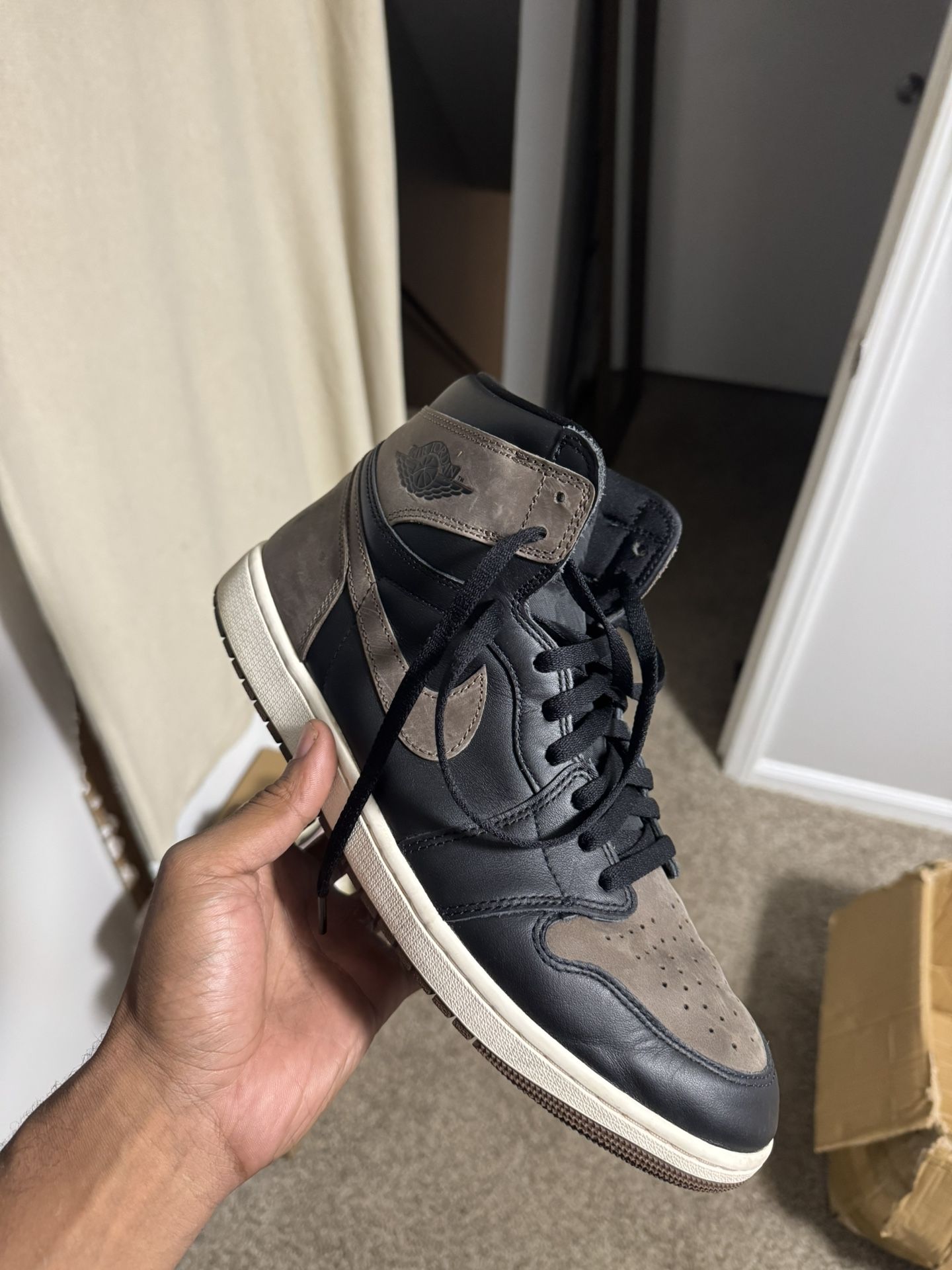 Palomino 1s