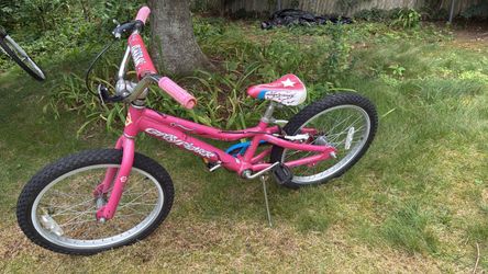 Gary fisher bike size 20”