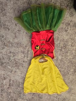 Robin Girls Halloween Costume with Cape and Tutu