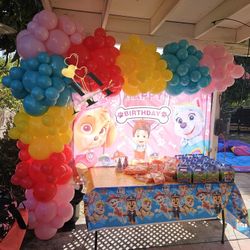 Paw Patrol Balloons Backdrop