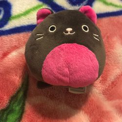 Cat  Plush