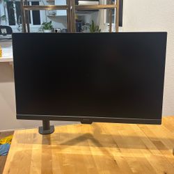 Computer/ Gaming Monitor 