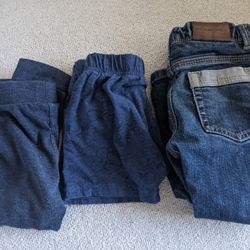 Toddler Pants - Burberry