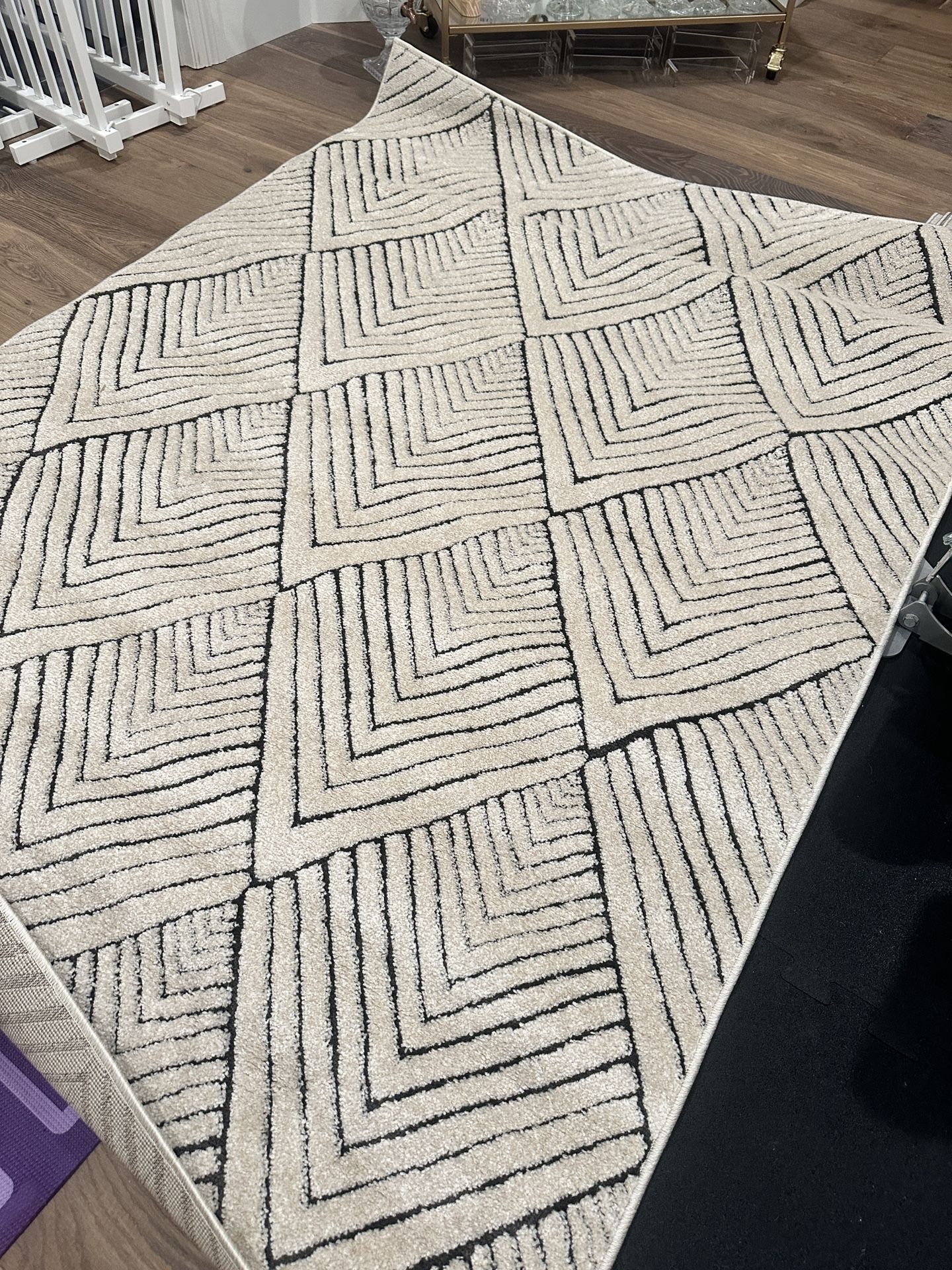 Brand new rug 5x7 $75