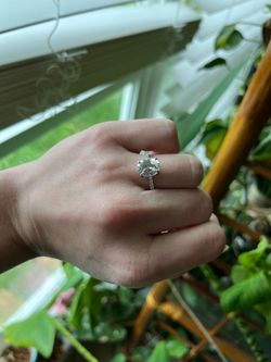 Women’s rings