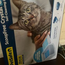 Scoopfree Crystal Classic