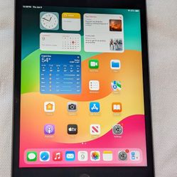 VERY NICE APPLE iPad MINI 5 64GB  LOW PRICE iOS18