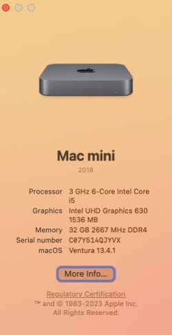 Apple Mac Mini 3.0 GHz 6-Core i5 256GB SSD 32GB 2666MHz RAM 2018