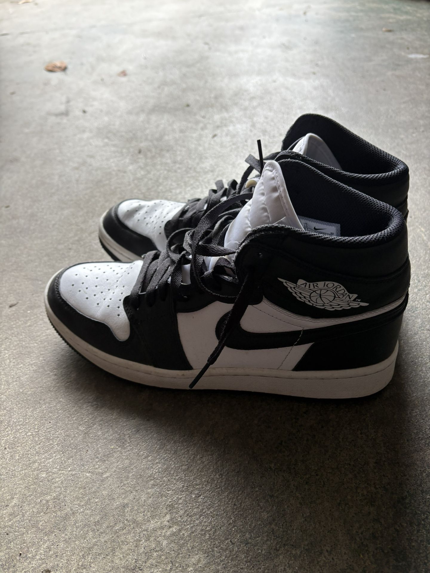 Air Jordan Golf 10.5 Size