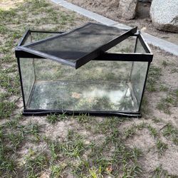 Small Terrarium