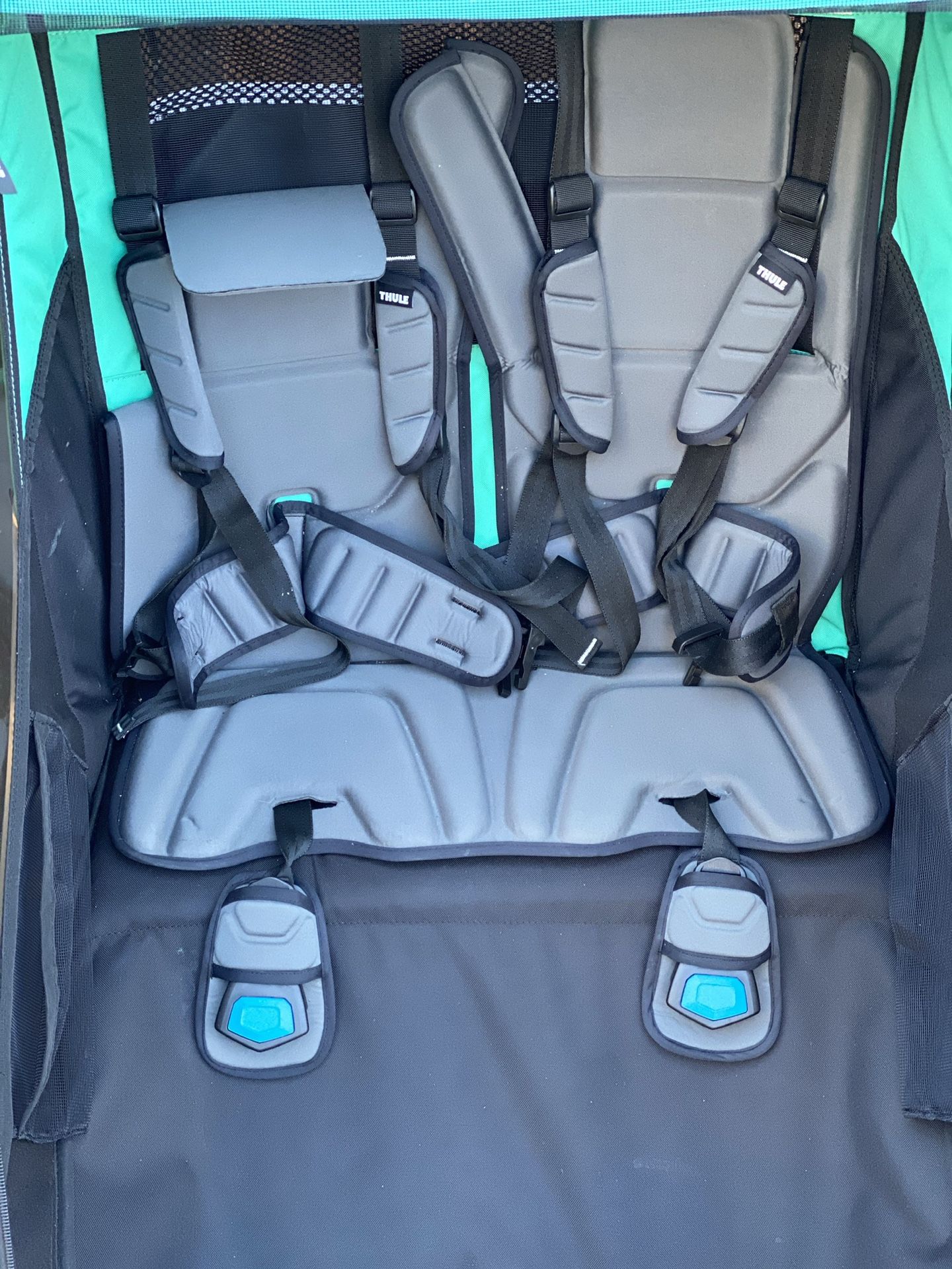 Thule Chariot