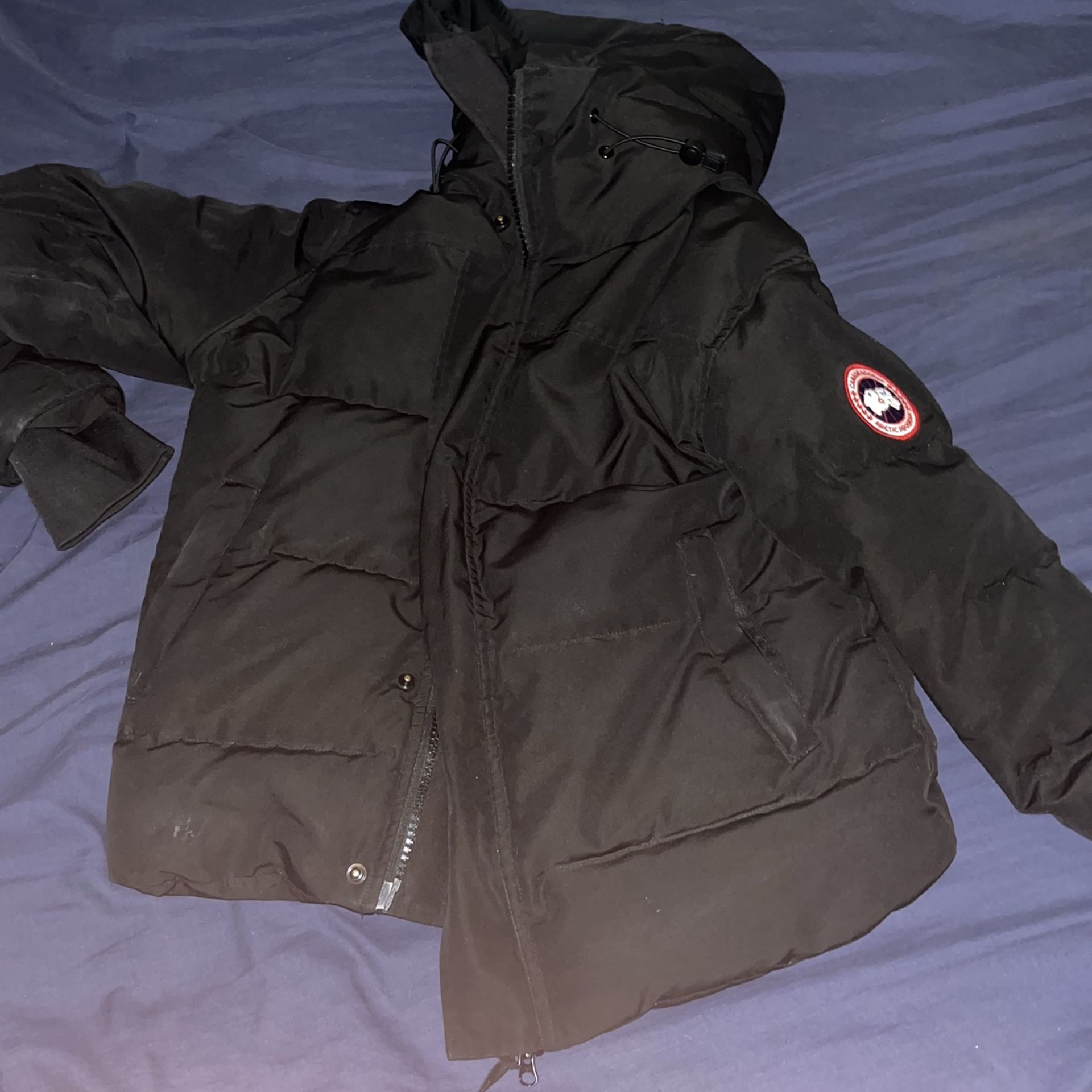 goose for sell/and trades