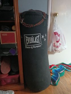 Everlast 70 lb punching bag