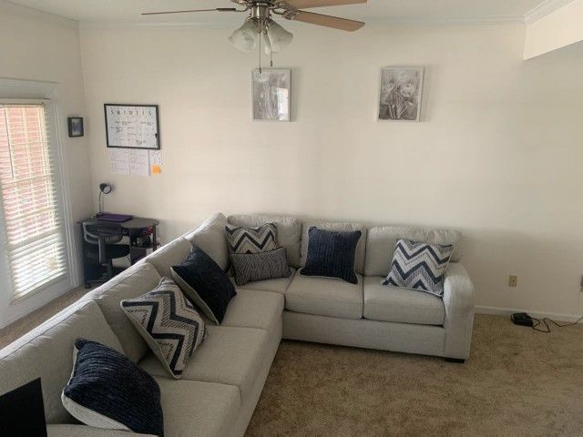 Light Gray Sectional