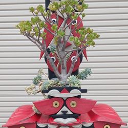 Jade Bonsai: Garden Of Delights