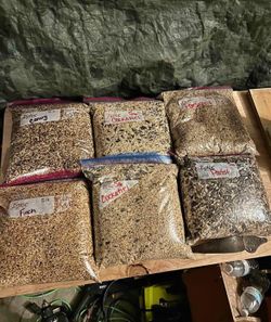 Bird food/ Accessories 