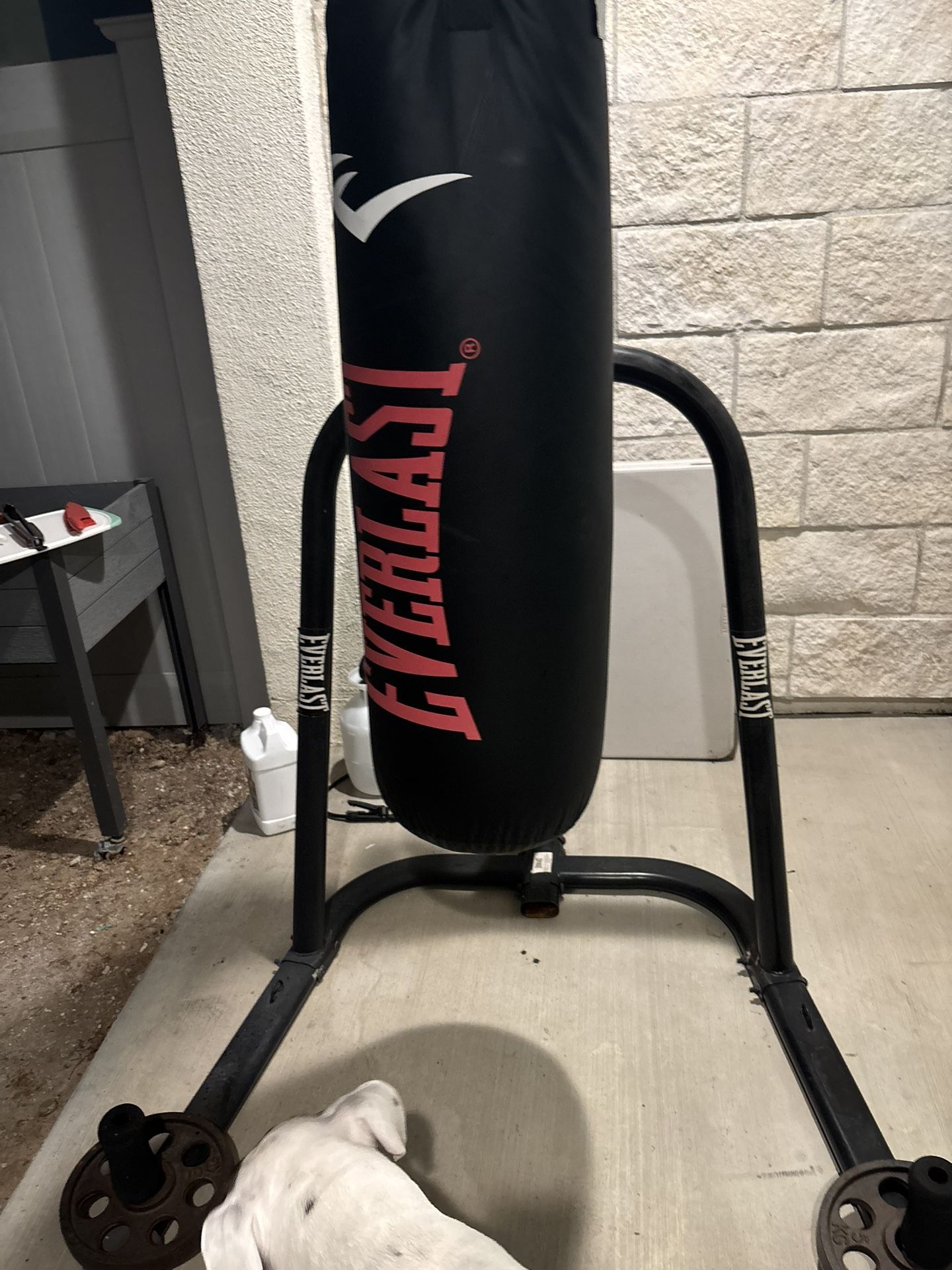 Everlast Punching Bag + Stand