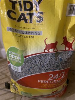 Kitty Litter