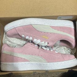 Pink Pumas