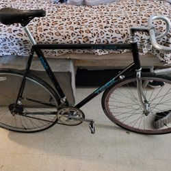 Trek 1200