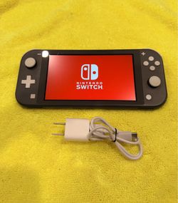 Nintendo switch lite gray Works great!