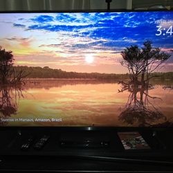 Vizio 50" TV