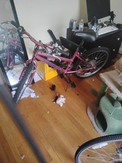 Pacific Wanderer Trek Bike