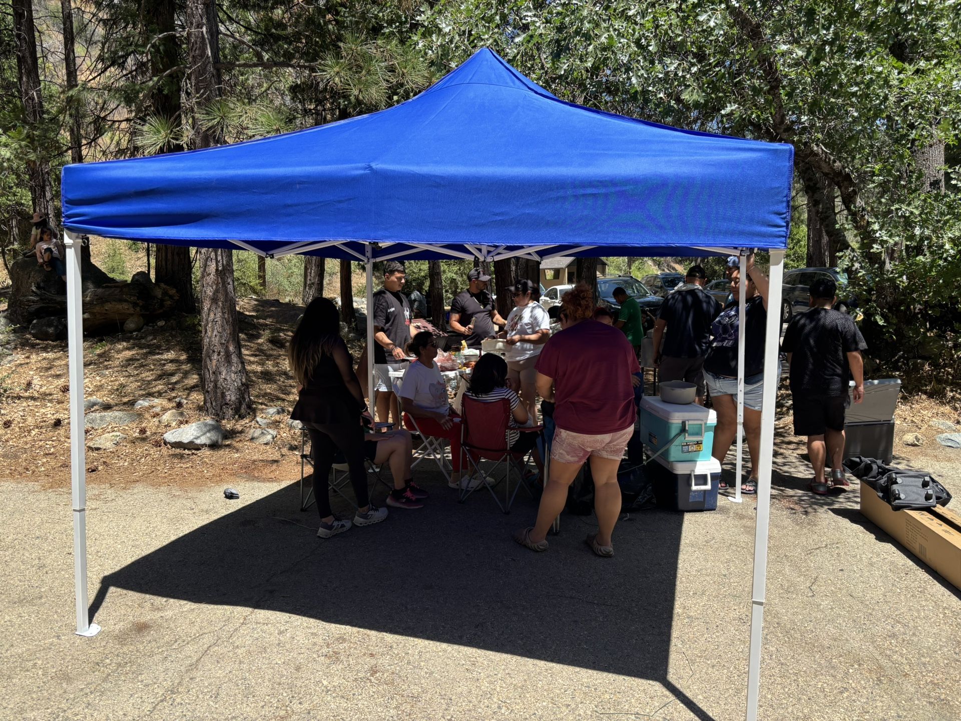 Commercial Grade heavy Duty 10x10 Canopy