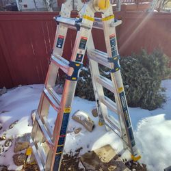 ladder werner little giant...extension 