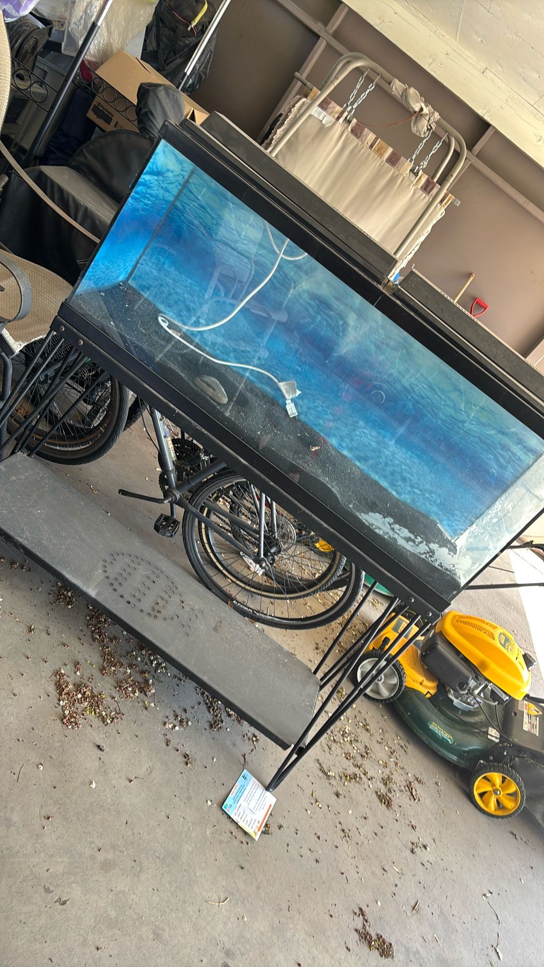 Large fish tank