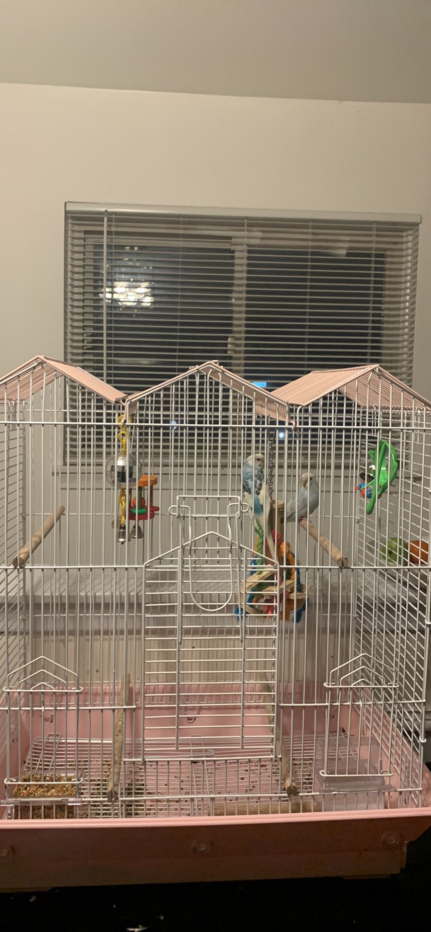 Bird Cage And Toys   
