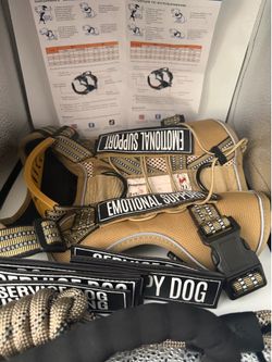 Service dog size M