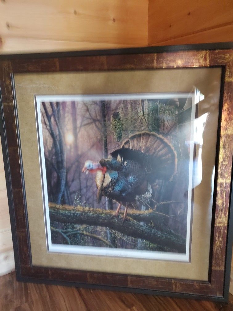 Limited edition signed and numbered framed turkey print.