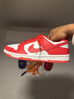Nike dunks low retro