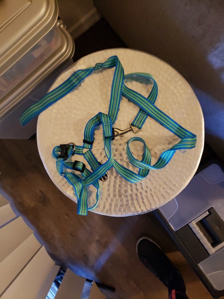 Dog Leash And Collar