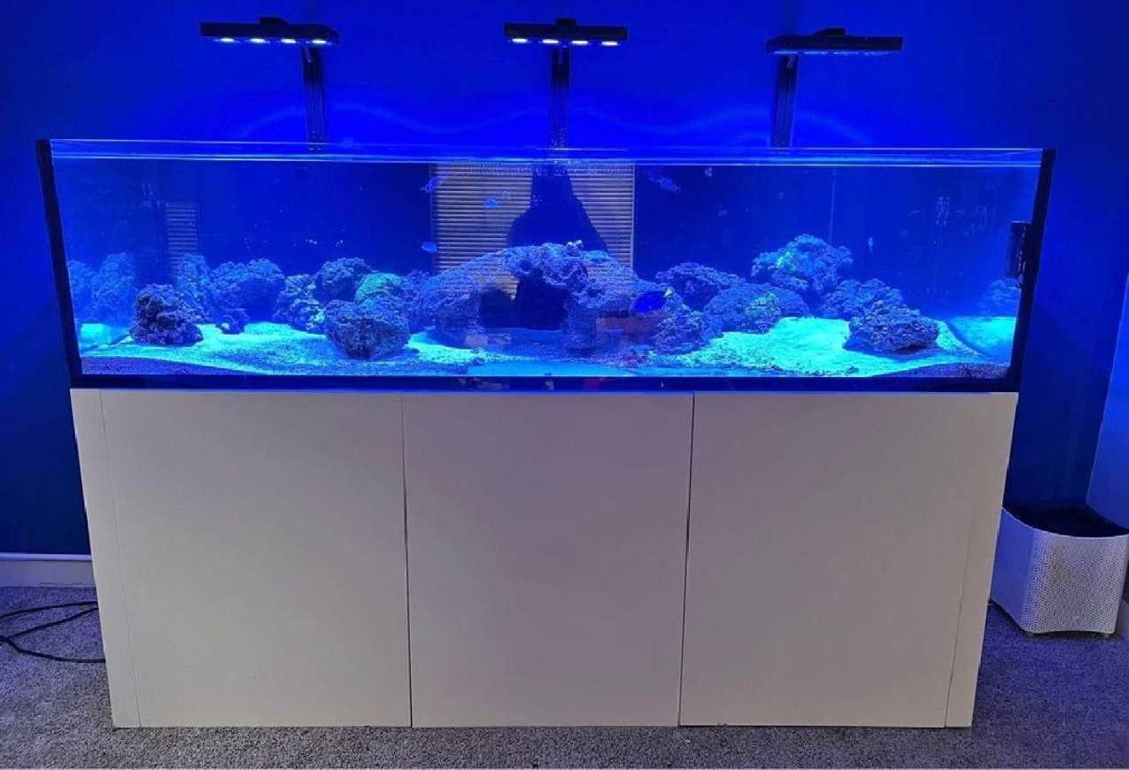 most long Massive Aquarium Tank - Wide & Stunning Display